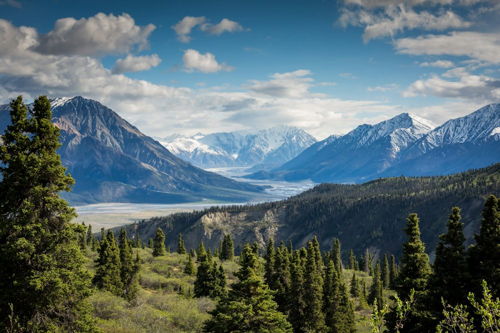 Mountain ecosystem science