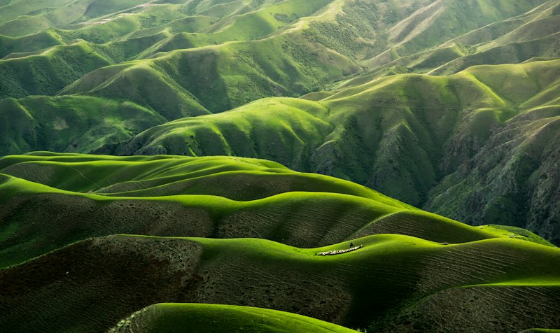 Meadows and climate